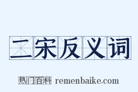 二宋反义词是什么意思的图片